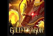 Gold Dragon