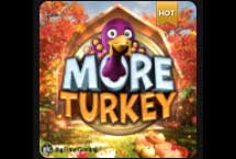 More Turkey