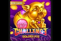 Feature Buy-Golden Pig